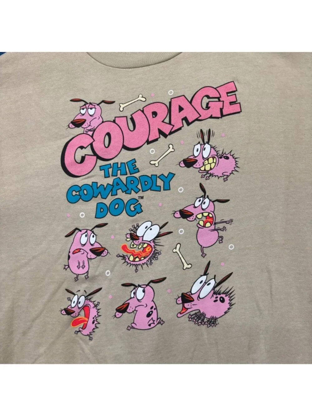 Courage the Cowardly Dog Graphic Crewneck Sweater Size 2X